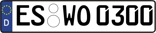 ES-WO0300