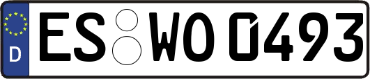 ES-WO0493
