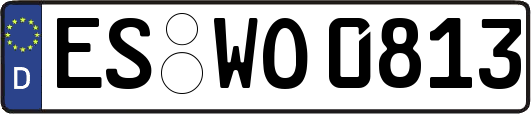 ES-WO0813
