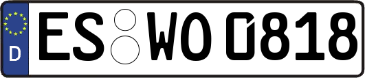 ES-WO0818