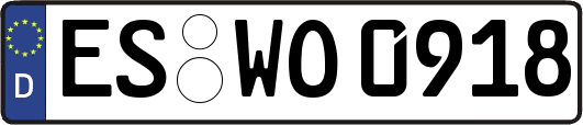 ES-WO0918