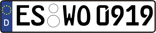 ES-WO0919
