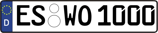 ES-WO1000