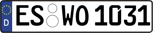 ES-WO1031