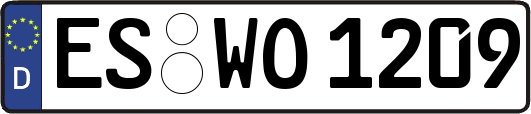 ES-WO1209