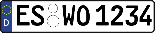 ES-WO1234