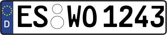 ES-WO1243