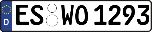 ES-WO1293