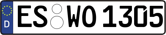 ES-WO1305