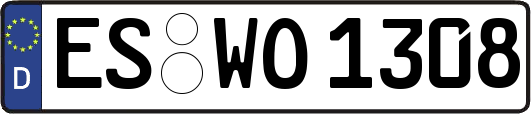 ES-WO1308