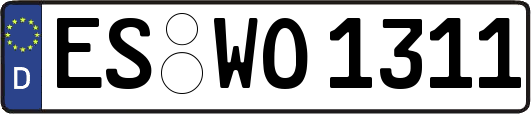 ES-WO1311