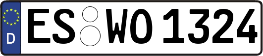ES-WO1324