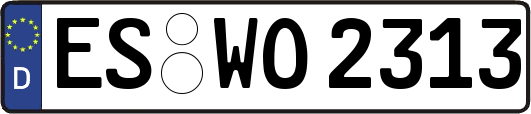 ES-WO2313