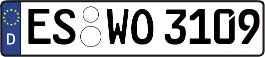 ES-WO3109
