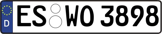 ES-WO3898