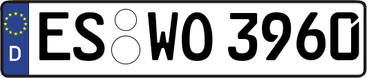 ES-WO3960