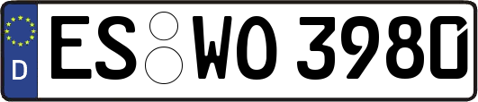 ES-WO3980