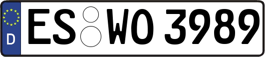 ES-WO3989