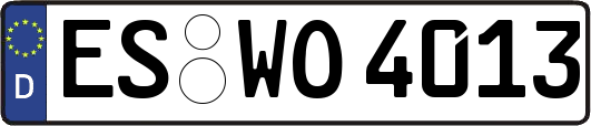 ES-WO4013