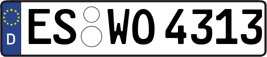 ES-WO4313