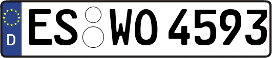 ES-WO4593
