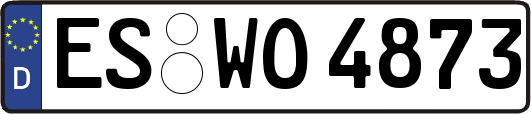 ES-WO4873