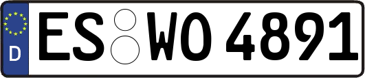 ES-WO4891