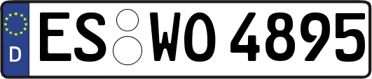 ES-WO4895
