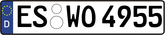 ES-WO4955