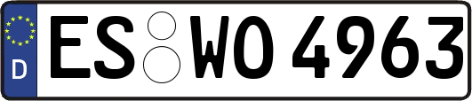 ES-WO4963