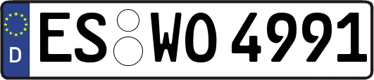 ES-WO4991