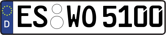 ES-WO5100