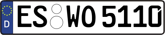 ES-WO5110
