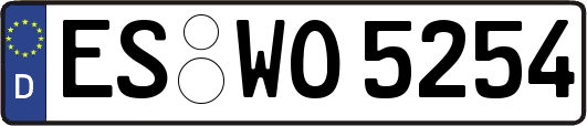 ES-WO5254