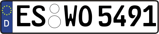 ES-WO5491