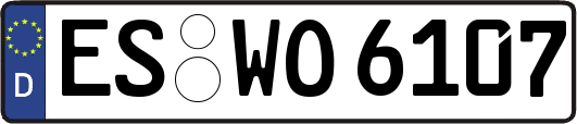 ES-WO6107