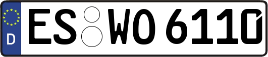 ES-WO6110