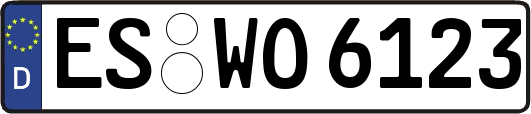 ES-WO6123