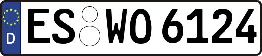 ES-WO6124