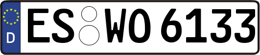 ES-WO6133