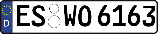 ES-WO6163