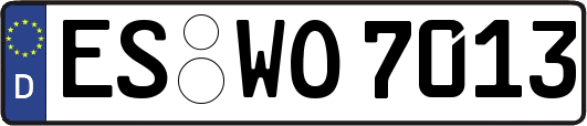 ES-WO7013