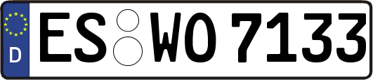 ES-WO7133