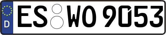 ES-WO9053