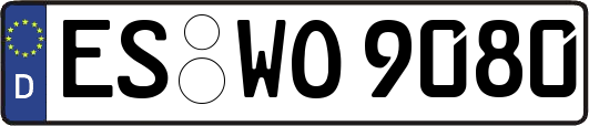 ES-WO9080