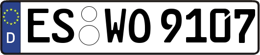 ES-WO9107