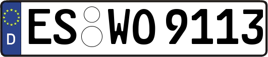 ES-WO9113