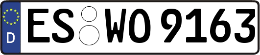 ES-WO9163
