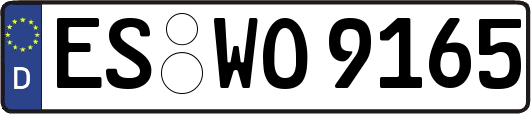 ES-WO9165