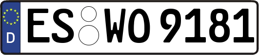 ES-WO9181